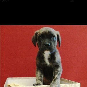 Meet your Posher, Tanya